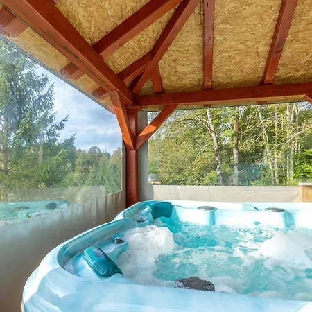 Pool & Wellness Twin Zavrh *