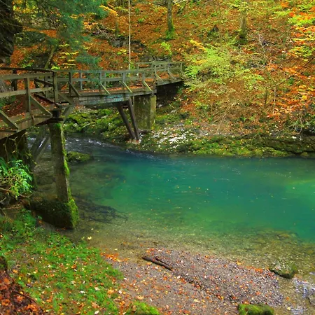 Pool & Wellness Twin Zavrh 度假居