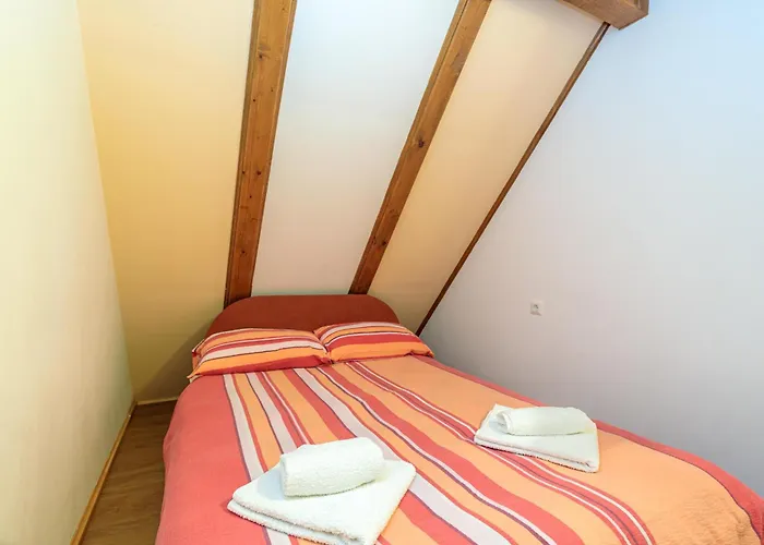 Pool & Wellness Twin Zavrh Brod Moravice
