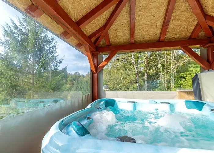 Pool & Wellness Twin Zavrh *